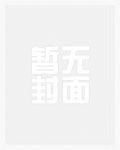 林暖暖薄见琛小说